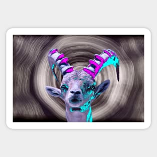 Capricorn b / Swiss Artwork Photography Sticker